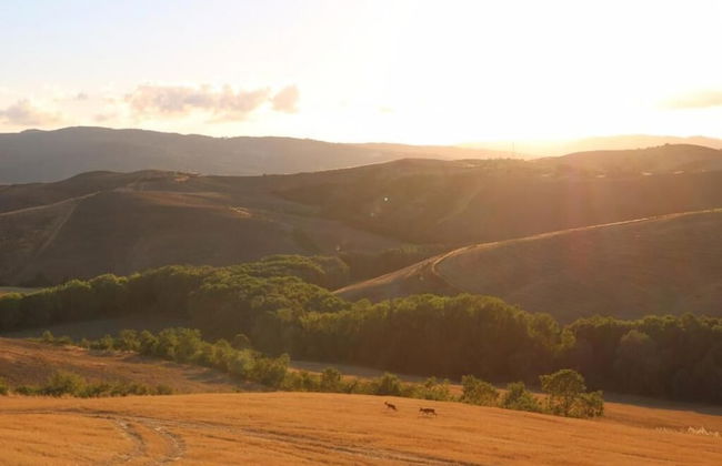 Fattoria Lischeto - Foto 27