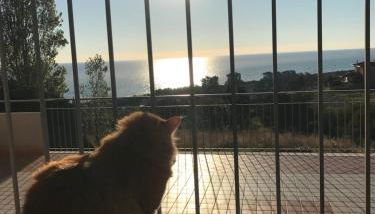 Luna Apartments - Foto 2