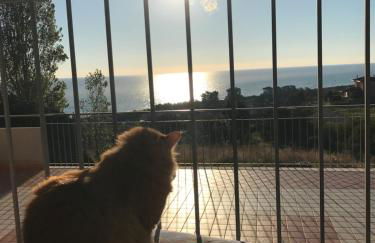 Luna Apartments - Foto 2