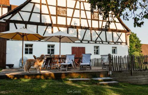 Ferienhaus Rote Sau - Foto 8