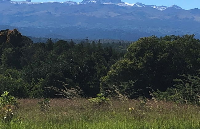 Dream the days away - The Rustic Barn - Foto 50