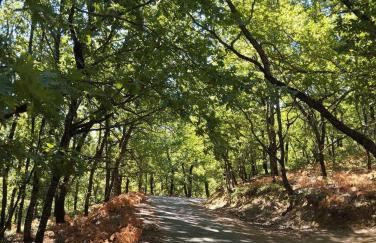 Σπίτι στο χωριό - Foto 21