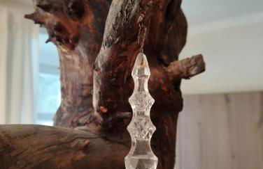 Rosengarten - Foto 18