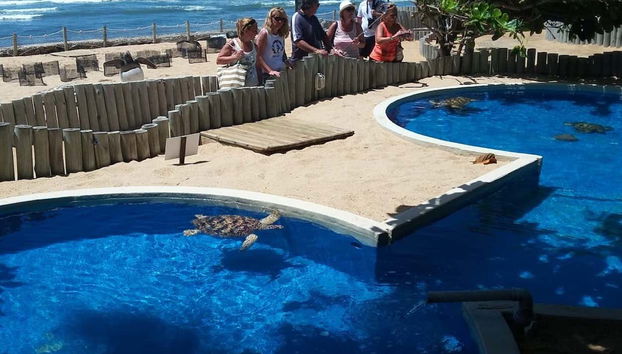 Praia do Forte Excursion - Foto 2