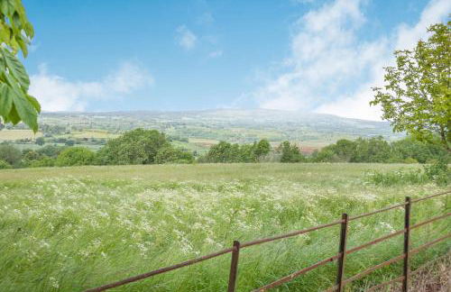 The Chestnuts - Foto 46