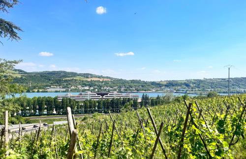 Appartement Ampuis Villa Monplaisir - Foto 7