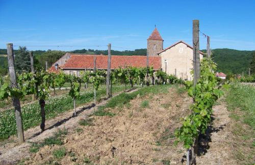 Gîte, jacuzzi & vin au grenier de Madiran - Photo 23