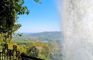 Ellie's Hospitality - Photo 25