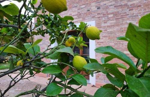 Fornace del Conte - Foto 47