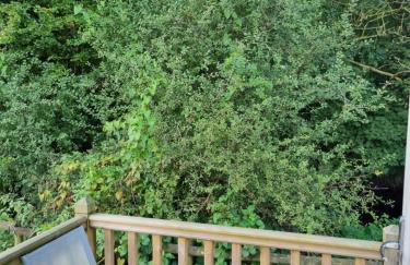 Glamping Hut - Sleeps 2 hot tub & parking - Foto 9