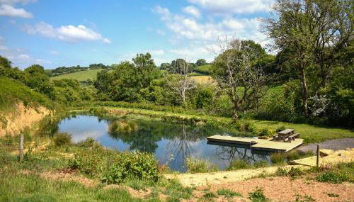 Russet Yurt - Ukc6945 - Foto 5