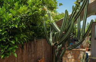 Orange Blossom Apartment - Foto 41