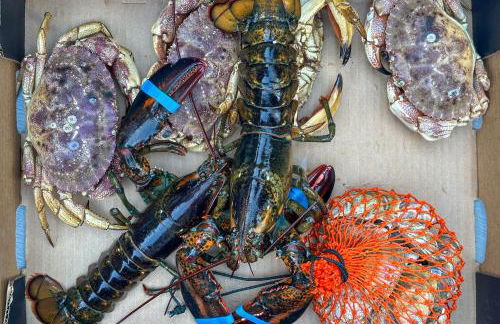 Lucky Stone Retreat - Private Beach & Acadia View - Foto 113