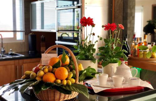 Quinta Da Bela Vista - Photo 68