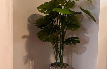 Cozy Stay Near DT with Deck and Yard - Foto 20