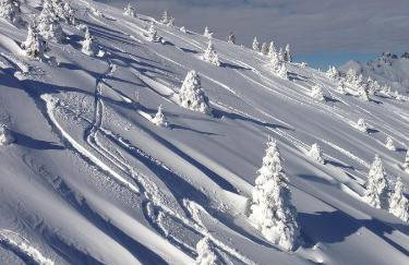 Tesino Appartamenti - Foto 21