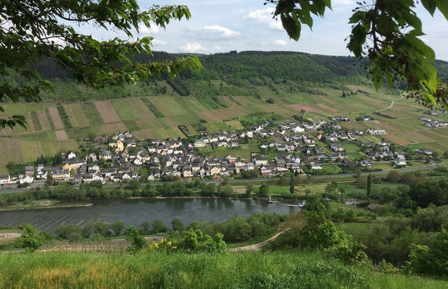 Malerisches Ferienhaus in Reil - Foto 37
