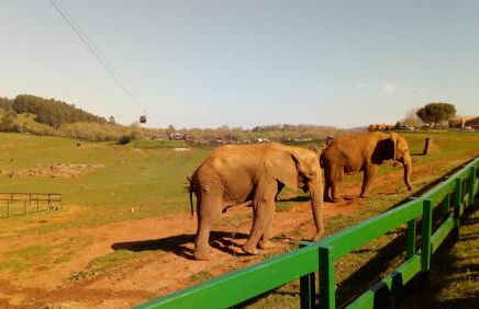 La Casa de Consuelo 3 - Foto 61