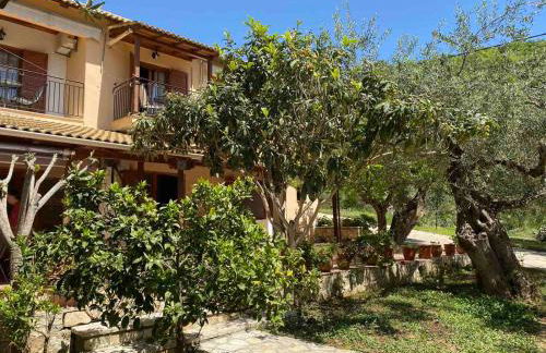 Oliveto e mare - Foto 18