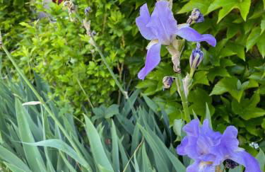 La Villa Rouge - Foto 38