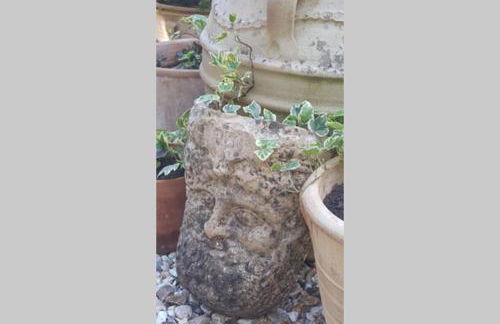 Bentley Rise - Photo 20