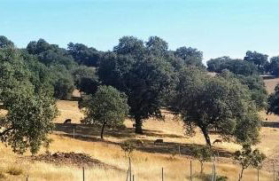 Casa Rural Lavanda con Piscina - Foto 62