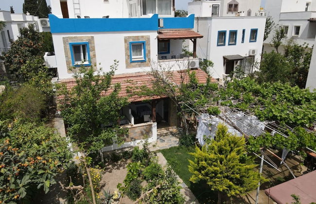 Apart Turgutreis - Photo 43