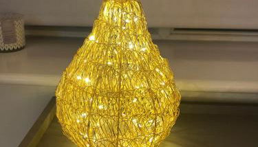 Rose Lodge - Photo 4