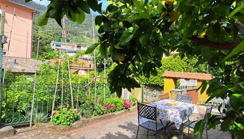 Affittacamere Sophie - Foto 3, Garden