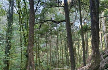 Casa CAMPELO- Playas de Pinténs - CANGAS-HIO- Ría de Aldán - Foto 24