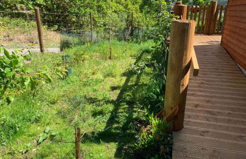 Suilven view - Foto 16