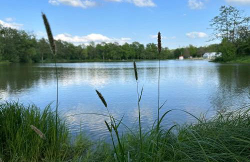 Ferienhaus Frankenwald 80qm unweit vom See in Lichtenberg - Sauna, Klima, Kamin, Garten - Bad Steben - Hof Saale - Foto 29