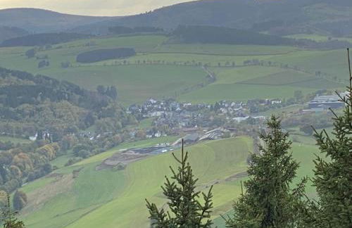 Schönwald Waldchalet am Musenberg - Foto 12