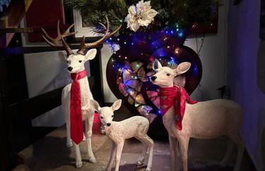 Ferienwohnung Amethyst - Photo 11