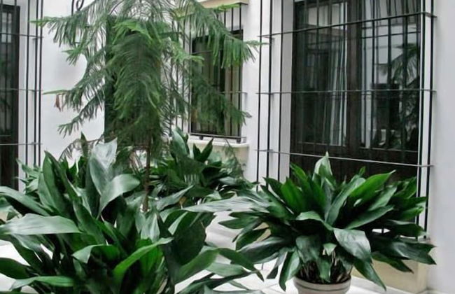 Casa Palacio Luna - Photo 20