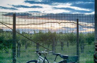 Agriturismo Le oche selvatiche - Foto 7