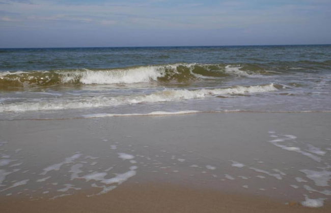 Timeless Charm and Cozy Stay - Photo 44