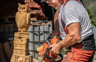 Bosc del Meneghì - Foto 37