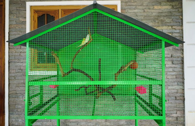 OYO 16630 Home Cocoa Tree Residency - Foto 22