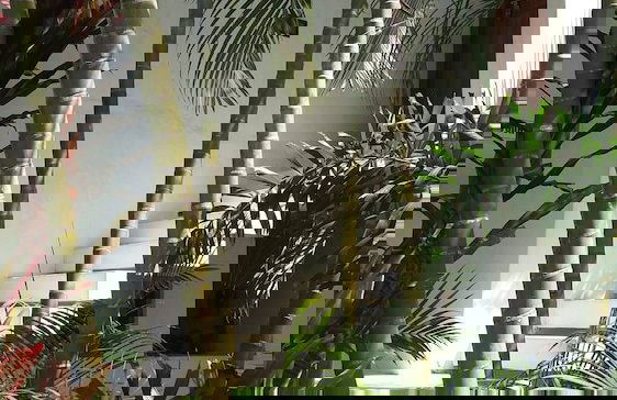 Lake Villa Near Udawalawe National Park - Foto 36