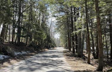 BLUEBERRY MORE LIMIT 17 home - Foto 38