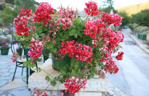 Althea Guesthouse - Foto 8