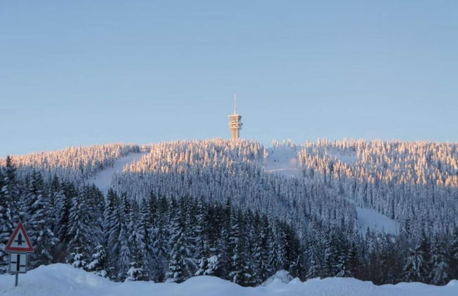 Snug Apartment in Jachymov Near Ski Area - Photo 38