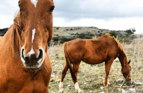 Near The Sea - Foto 34