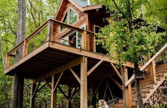 Stunning Pet-Friendly Treehouse for Relaxing Glamping Retreats in North Carolina - Foto 8