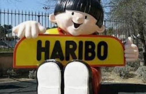 T2 Duplex "Chez Évelyne" - Foto 40