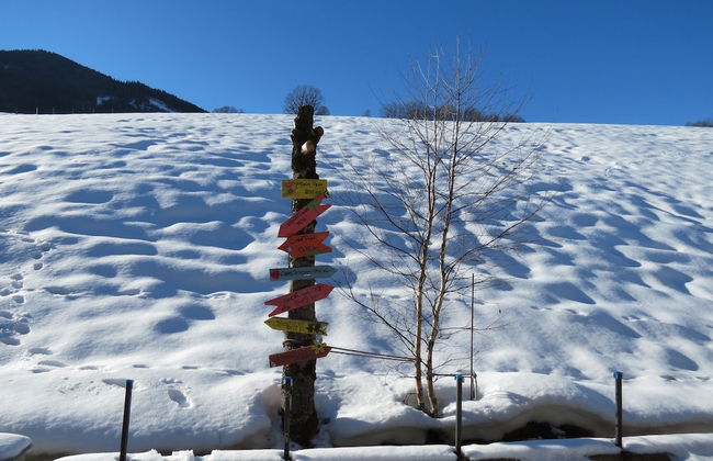 Voluminous Apartment near Ski Slopes in Maria Alm - Foto 43