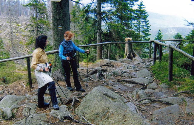 Pleasant Apartment in Bavaria - Photo 11