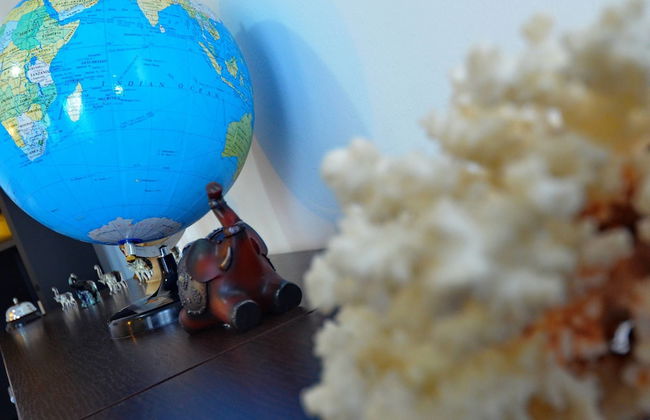 Apartments Corovic - Foto 27