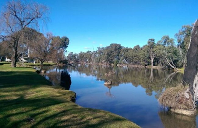 Cohuna Waterfront Holiday Park - Foto 31